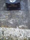 image of grave number 828293